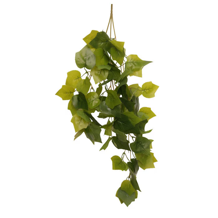Habistat Hanging Vine, Greenery Grape 60cm