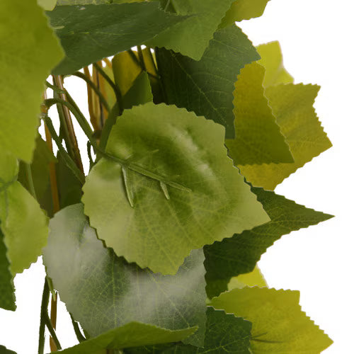 Habistat Hanging Vine, Greenery Grape 60cm