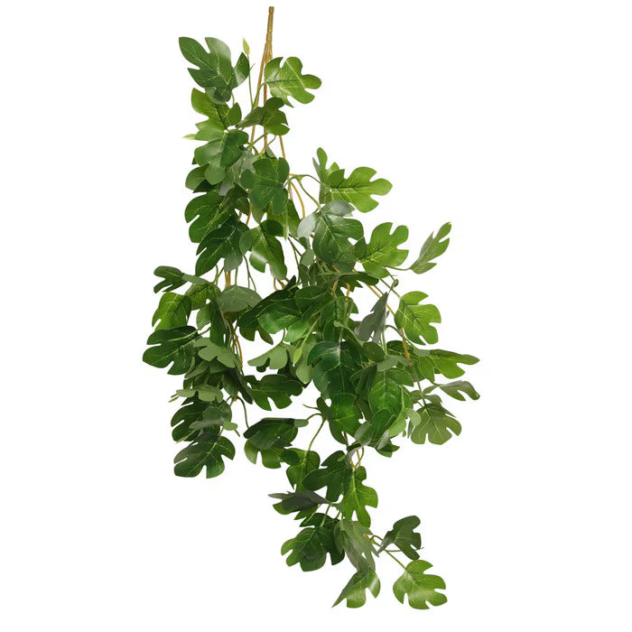 Habistat Hanging Vine, Hyphosis 60cm
