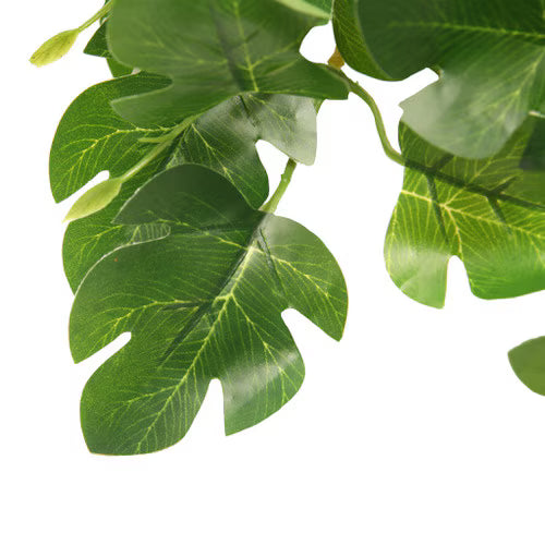 Habistat Hanging Vine, Hyphosis 60cm