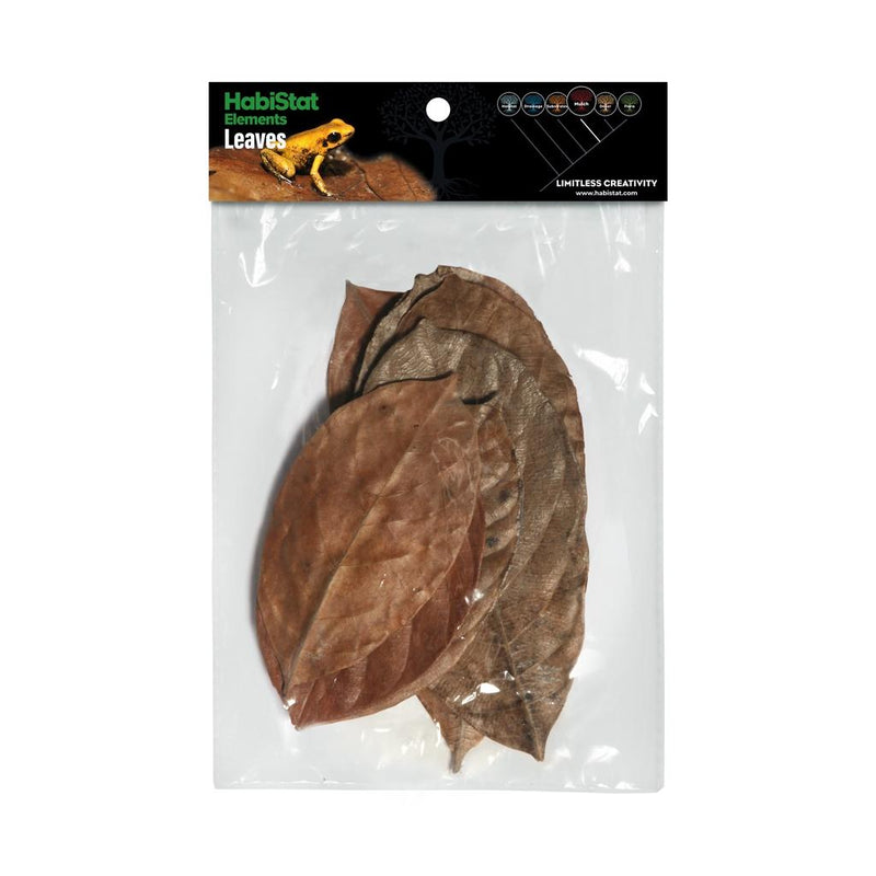 Habistat Jackfruit Leaves 10 Pack