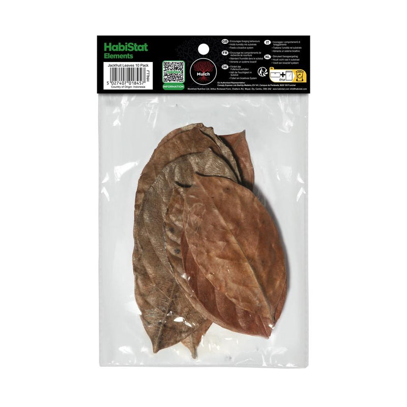 Habistat Jackfruit Leaves 10 Pack