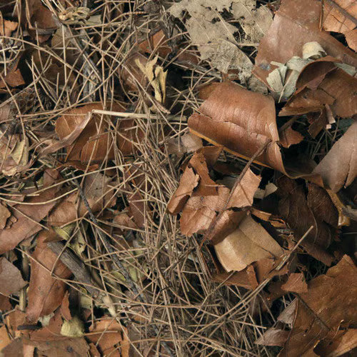 Habistat Leaf Litter, Forest Floor 5L