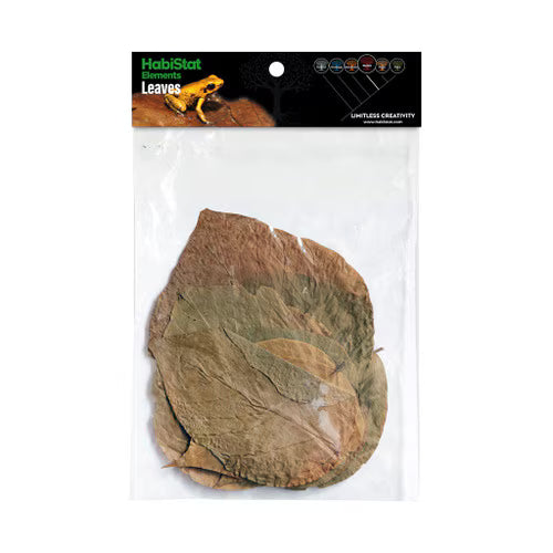 Habistat Leaves, Dadap, 10pack
