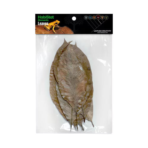 Habistat Rubber Leaves pack