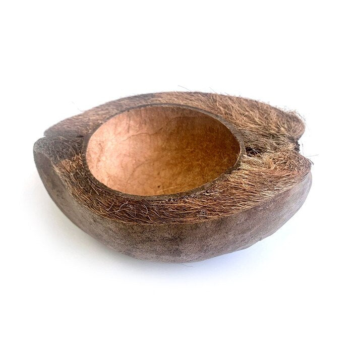 Habistat Coco Bowl 18cm x 13cm x 7.5cm