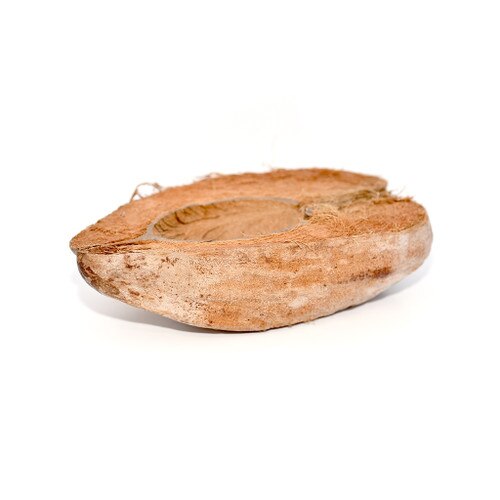 Habistat Coco Bowl 18cm x 13cm x 7.5cm