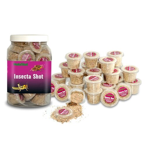 Habistat Insecta Shot (Sold Individually)