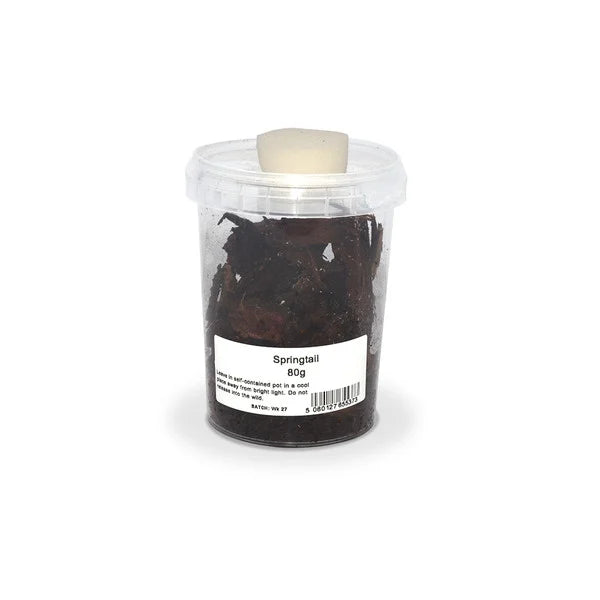 Springtails 80g Tub