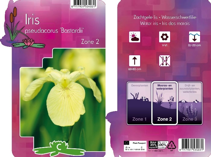 Iris pseudac. 'Bastardii' / P9