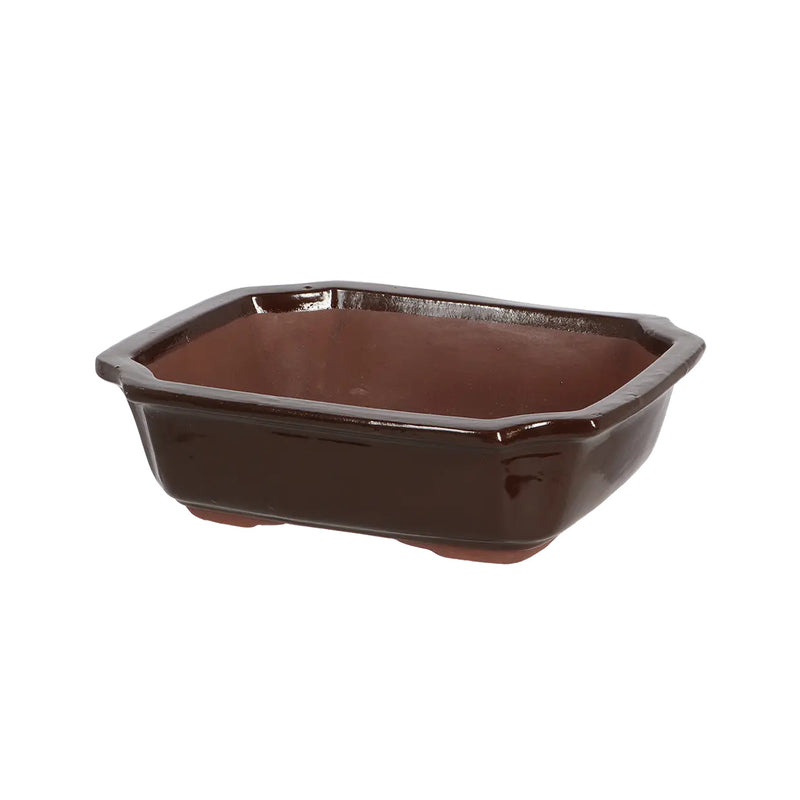 Esschert Rectangular Terracotta Bonsai Pot – Medium