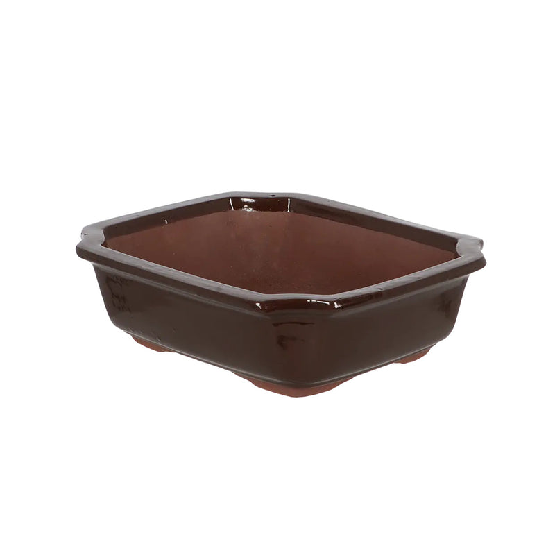 Esschert Rectangular Terracotta Bonsai Pot – Medium