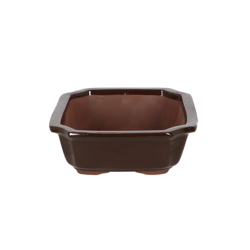 Esschert Rectangular Terracotta Bonsai Pot – Medium