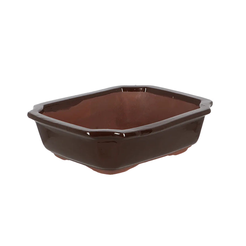 Esschert Rectangular Terracotta Bonsai Pot – Medium