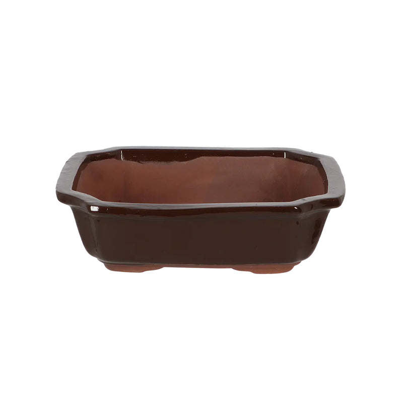 Esschert Rectangular Terracotta Bonsai Pot – Medium