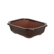 Esschert Rectangular Terracotta Bonsai Pot – Medium