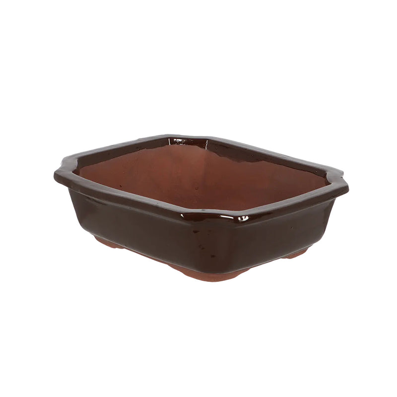 Esschert Rectangular Terracotta Bonsai Pot – Medium
