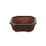 Esschert Rectangular Terracotta Bonsai Pot – Medium