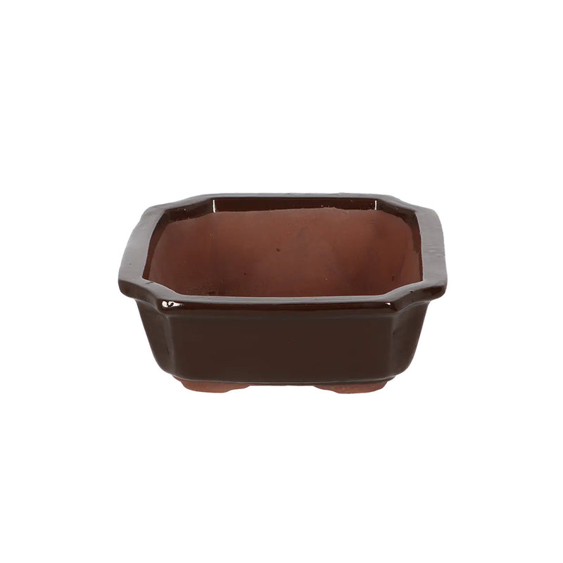 Esschert Rectangular Terracotta Bonsai Pot – Medium