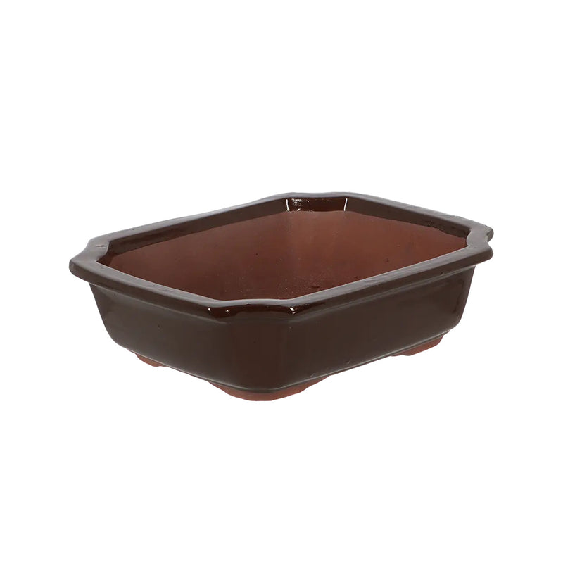 Esschert Rectangular Terracotta Bonsai Pot – Medium