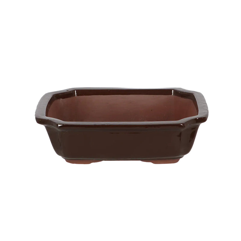 Esschert Rectangular Terracotta Bonsai Pot – Medium
