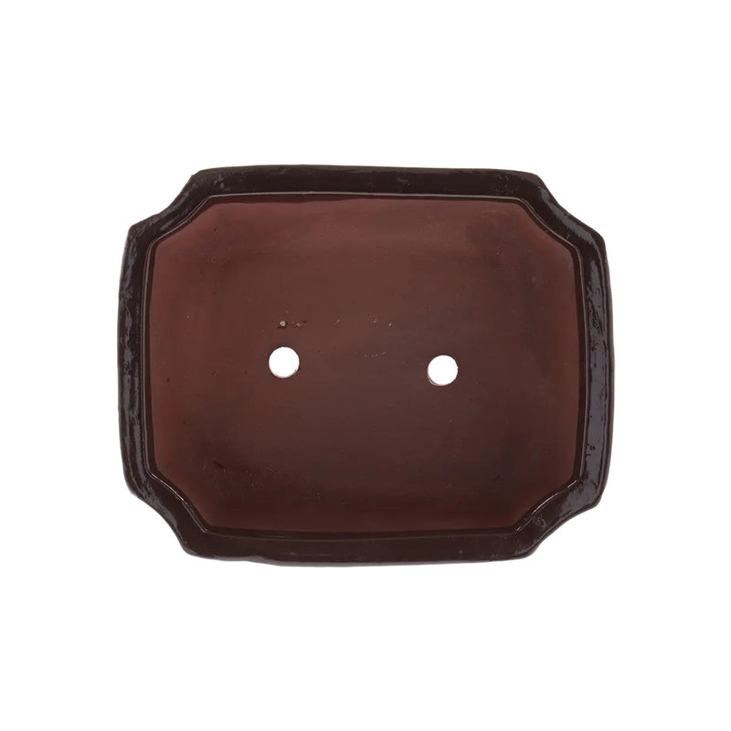 Esschert Rectangular Terracotta Bonsai Pot – Medium