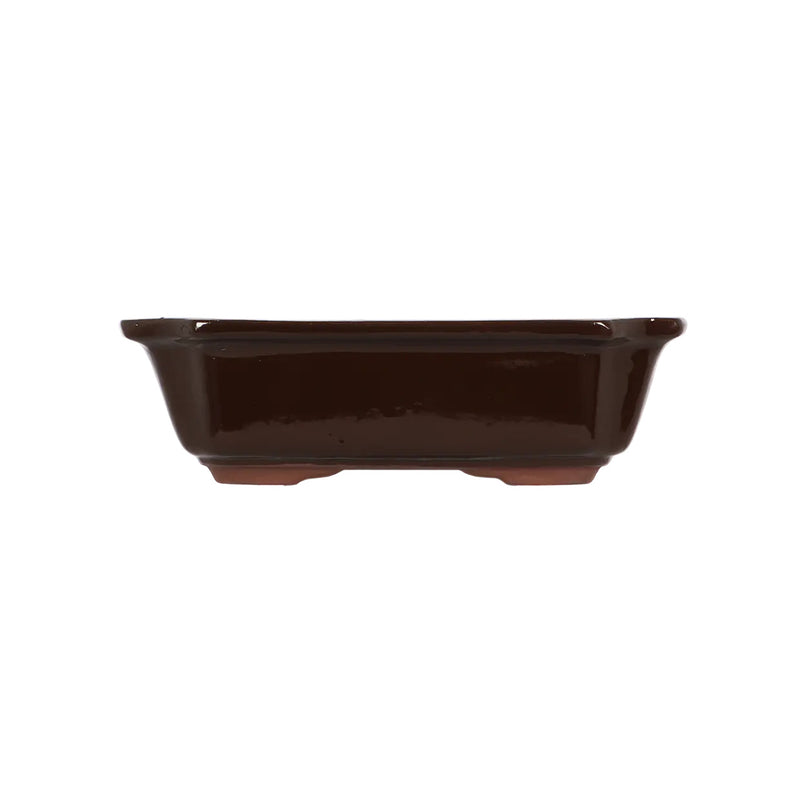 Esschert Rectangular Terracotta Bonsai Pot – Medium
