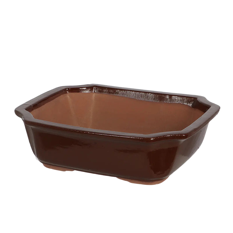 Esschert Rectangular Terracotta Bonsai Pot – Large