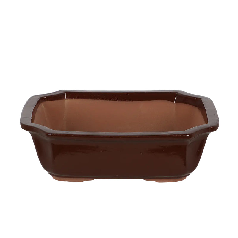 Esschert Rectangular Terracotta Bonsai Pot – Large