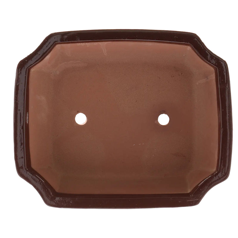 Esschert Rectangular Terracotta Bonsai Pot – Large