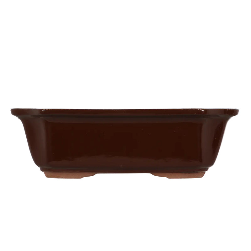 Esschert Rectangular Terracotta Bonsai Pot – Large