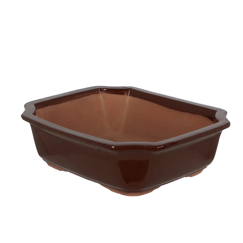 Esschert Rectangular Terracotta Bonsai Pot – Large