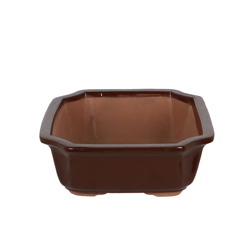 Esschert Rectangular Terracotta Bonsai Pot – Large