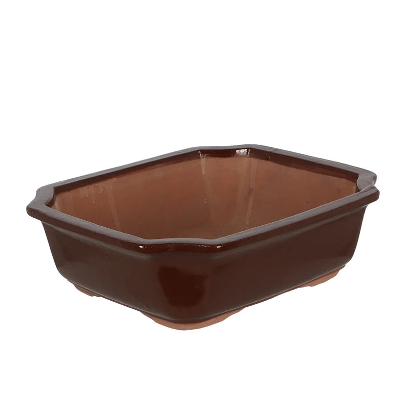 Esschert Rectangular Terracotta Bonsai Pot – Large