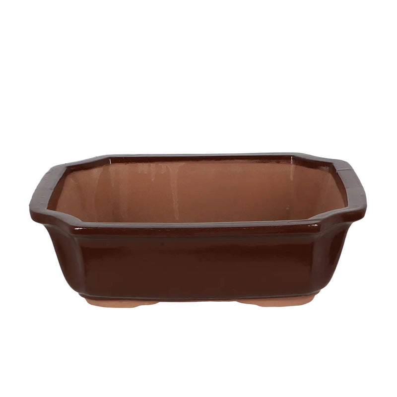 Esschert Rectangular Terracotta Bonsai Pot – Large