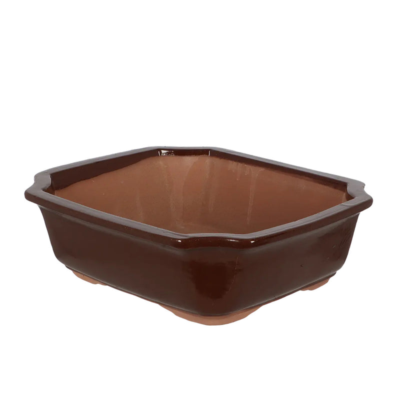 Esschert Rectangular Terracotta Bonsai Pot – Large