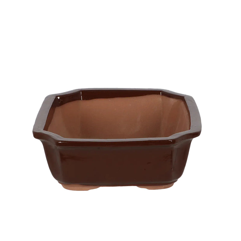 Esschert Rectangular Terracotta Bonsai Pot – Large