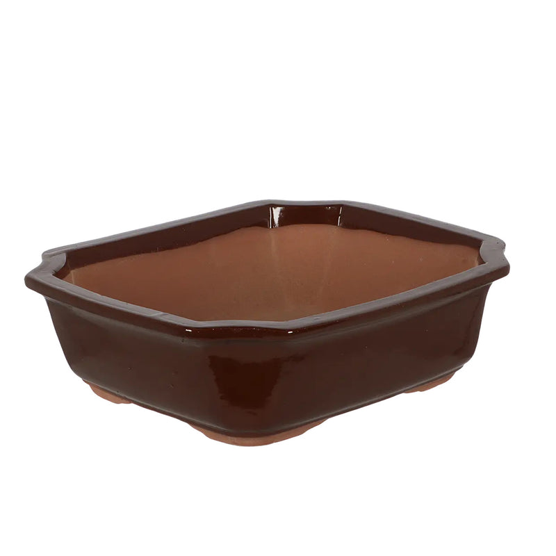 Esschert Rectangular Terracotta Bonsai Pot – Large