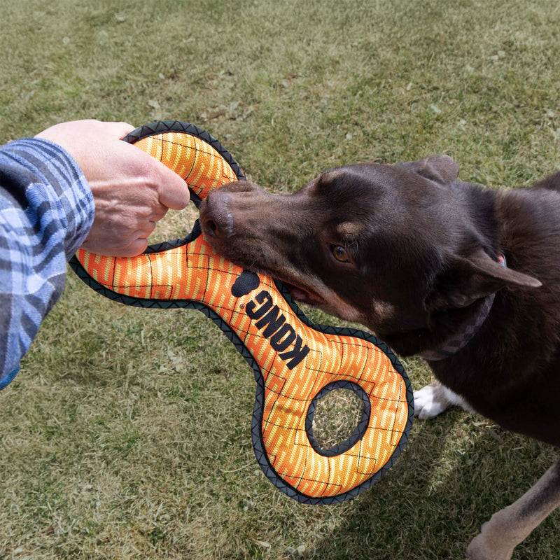 KONG Armor Double Tug Large – Assorted Colours – assorted colour example, one toy supplied