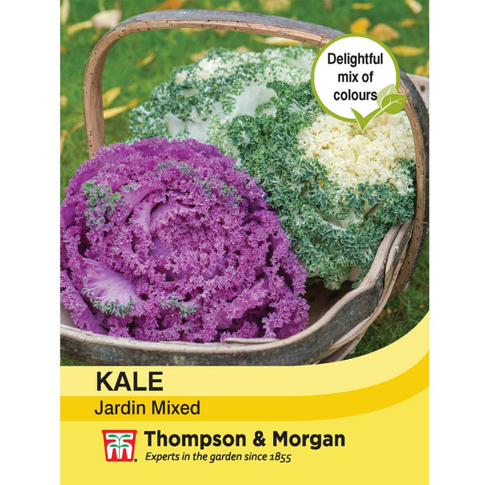 Kale 'Jardin Mixed'