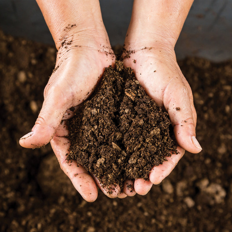 Kelkay Horticultural Grit Sand - Handy Pack 4kg