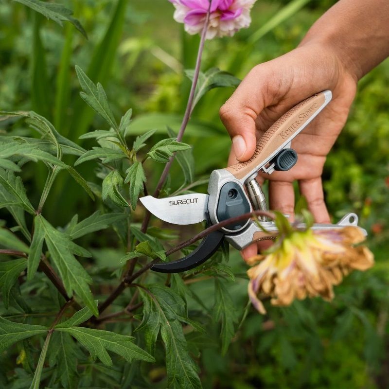 Kent & Stowe Garden Life All Purpose Mini Bypass Secateurs (Cutting dia. 15mm)