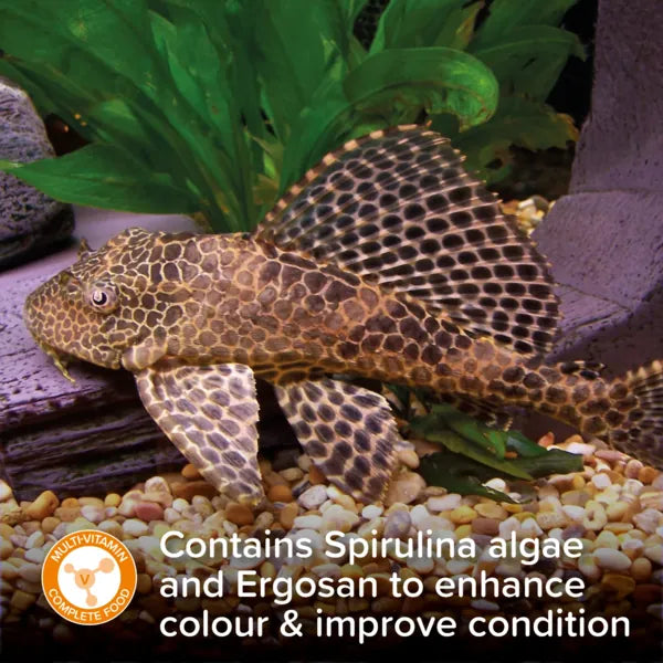 King British Plecostomus Tabs 150g