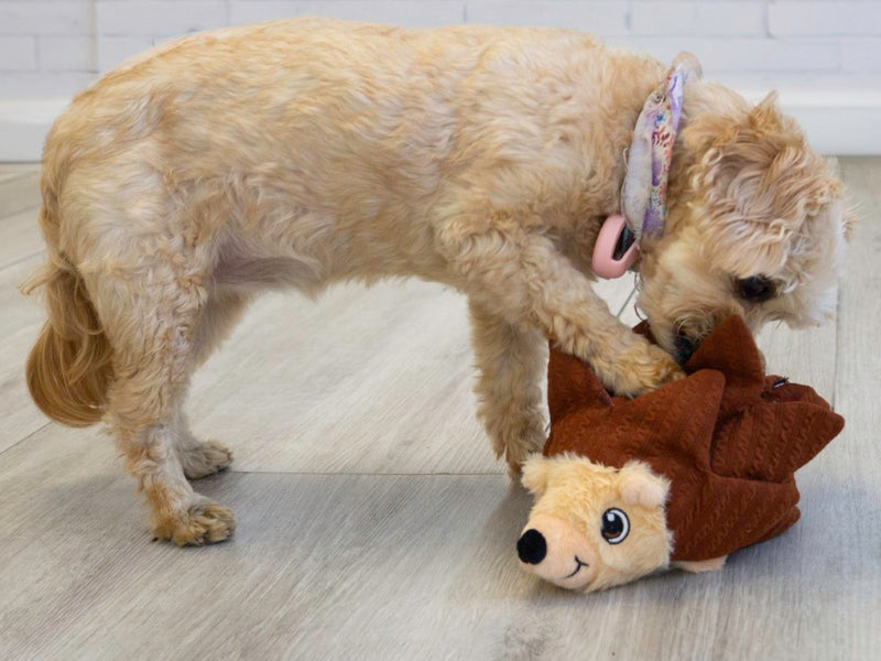 KONG Layerz Forage Hedgehog Medium
