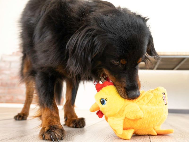 KONG Layerz Forage Hen Medium