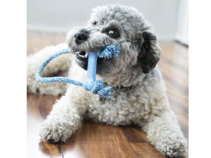 Kong Puppy Goodie Bone With Rope Extra Small