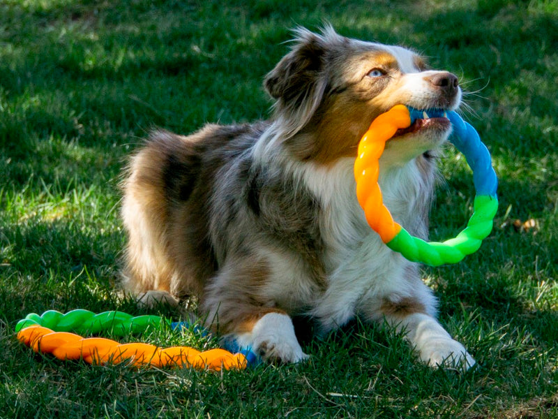 Cat Litter Scoop with Hook Grey Large