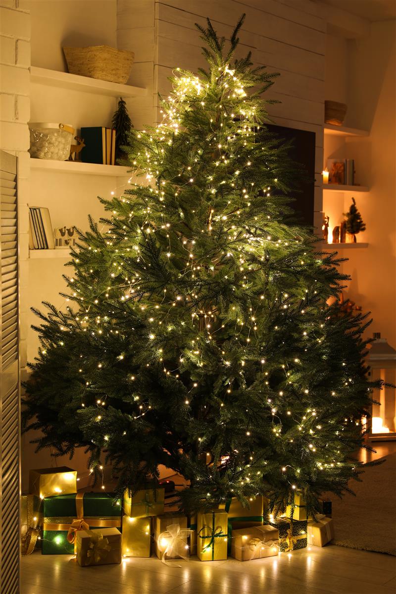 Krinner Christmas Tree Stand For Real Christmas Trees Up To 4.4m X-440 Deluxe