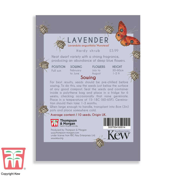 Lavender 'Munstead' - Kew Pollination Seed