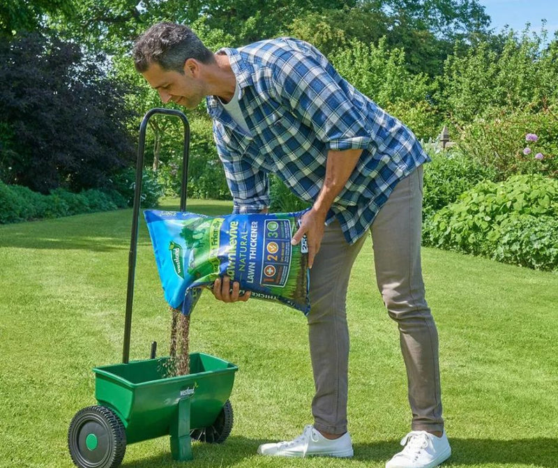 Westland Lawn Revive ( Lawn Thickener) 250m2 Bag